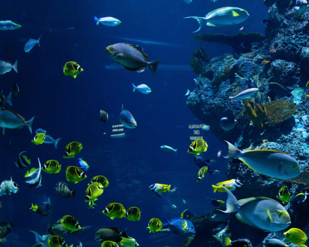 Lorem ipsum dolor sit amet