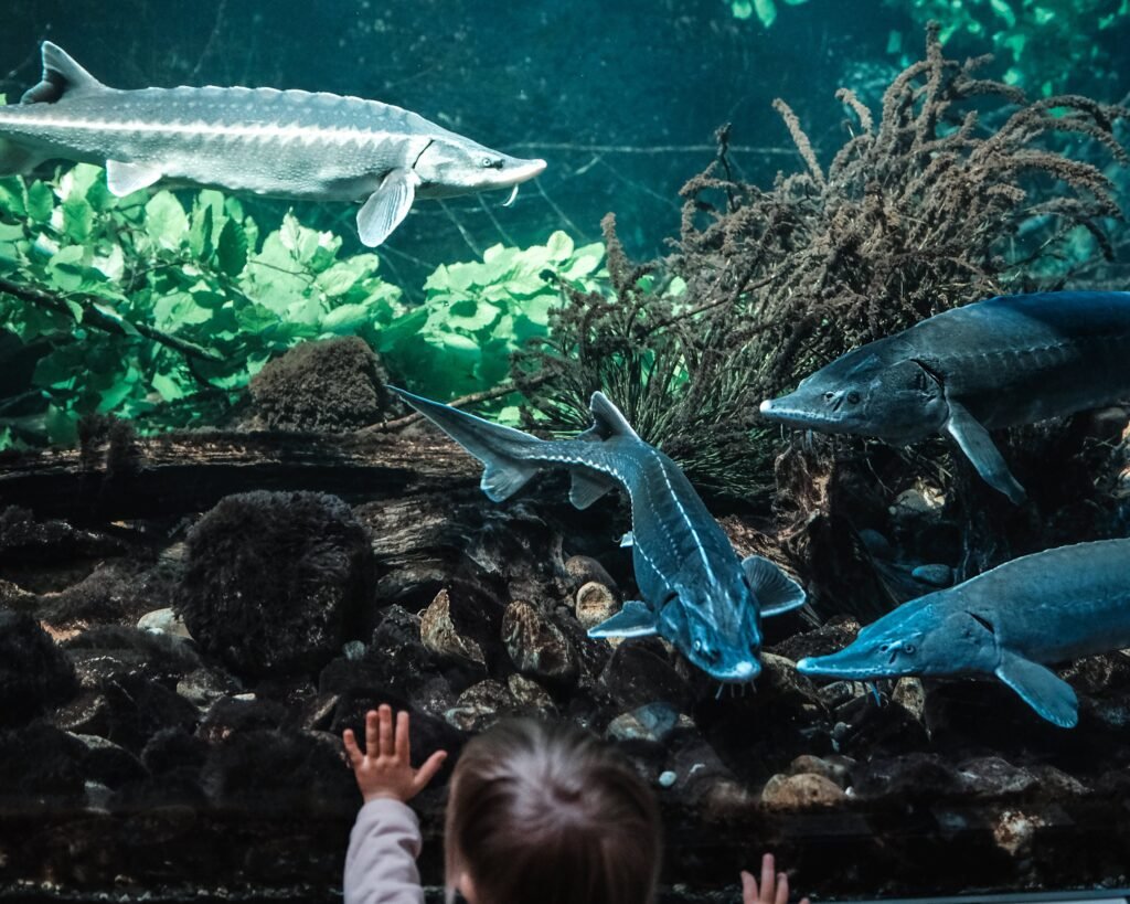 Lorem ipsum dolor sit amet