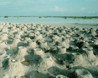 Lorem ipsum dolor sit amet