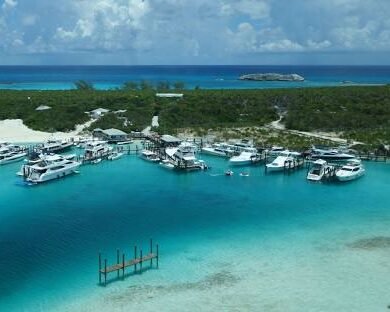 Lorem ipsum dolor sit amet