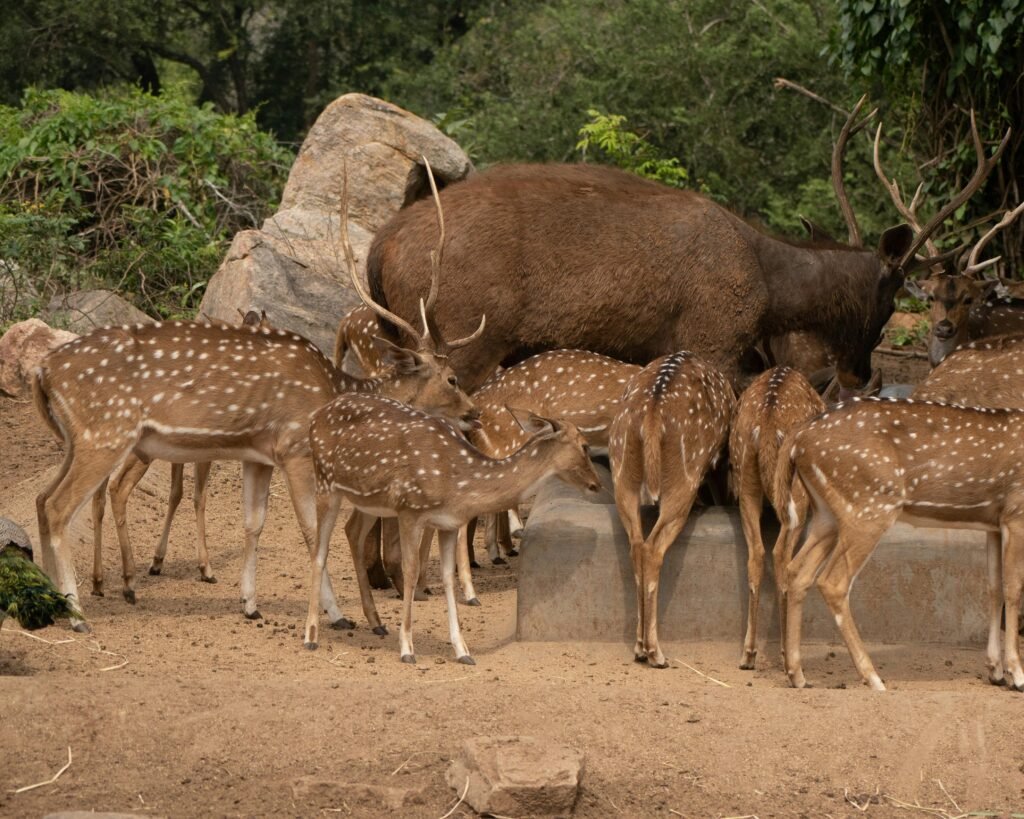 Lorem ipsum dolor sit amet