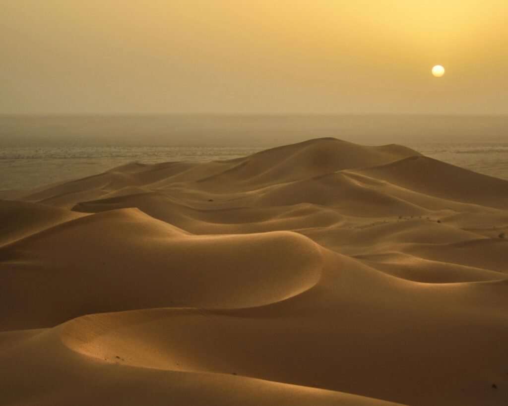 Lorem ipsum dolor sit amet