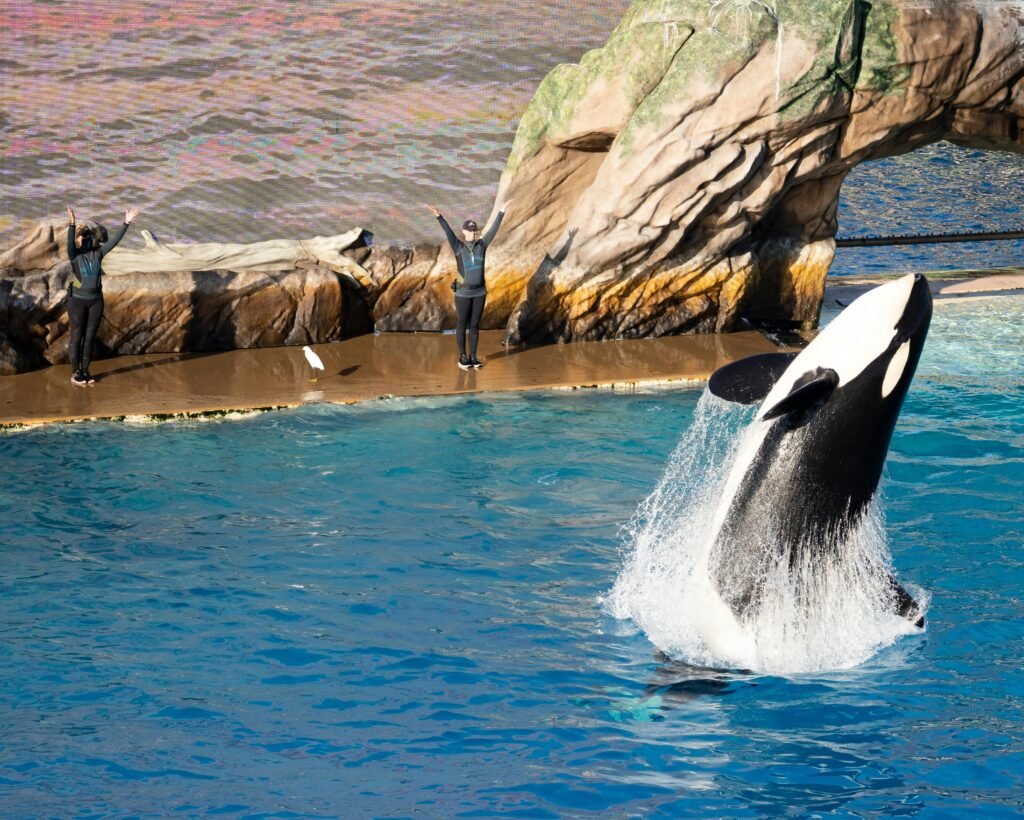 Lorem ipsum dolor sit amet